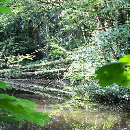 Zum Wohlfuehlen Fuer Bis 4 Erwachsene & 1kind Mit Schwimmbad Vor Der Tuer Tiere Willkommen
