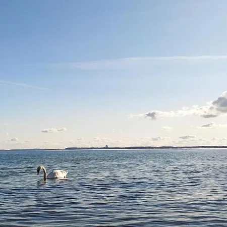 Zum Wohlfuehlen Fuer Bis 4 Erwachsene & 1kind Mit Schwimmbad Vor Der Tuer Tiere Willkommen *